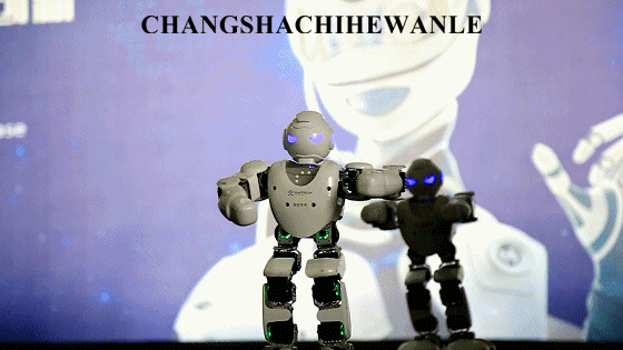 机器人来洋沙湖通通都能满足你……惊险刺激的vr高空超级动感特效的