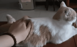 虎口脱险! 还没来得及拍视频. 顺着没毛病.