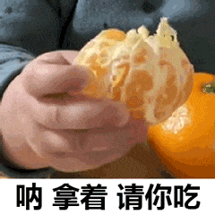 表情包我要去炫砂糖橘了