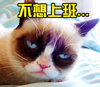 睡眠|不是我不起床，是被子把我封印了！