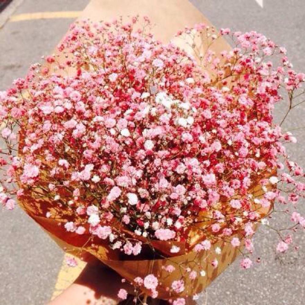 心理测试:选一束喜欢的满天星?测你下半月会交什么好运?