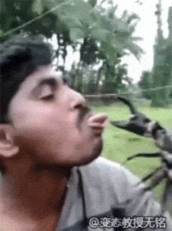 250_336竖版 竖屏gif 动态图 动图