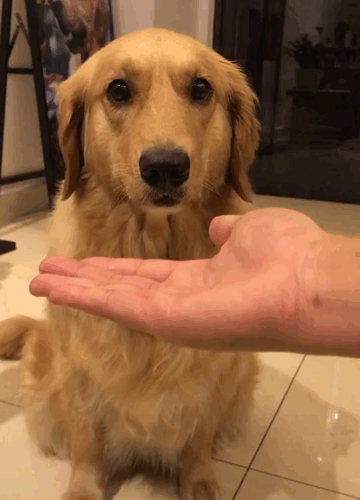 腾讯内容开放平台