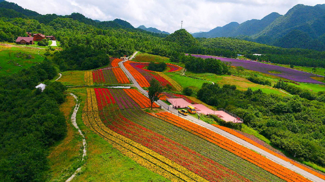 巫溪縣,紅池壩,重慶,高山,三峽,雲中花海