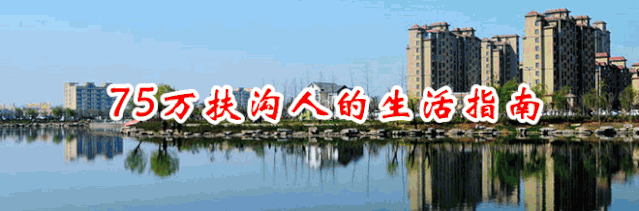 扶沟户籍人口_扶沟县受灾人口56.1万人,造成直接经济损失达28.4亿元