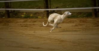 330_170gif 动态图 动图