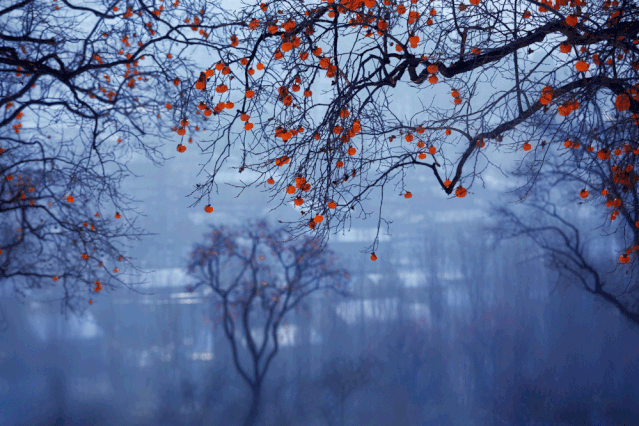 国学|【国学】九首古诗里的中国