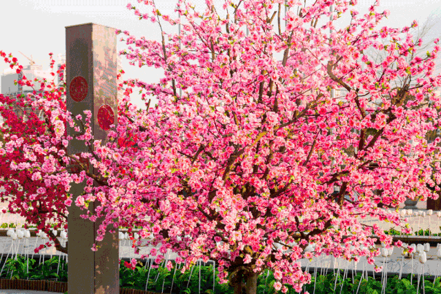 639_426gif 动态图 动图