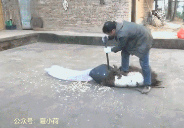 搞笑gif趣图:传统手艺不能丢,爆米花更不能丢啊!