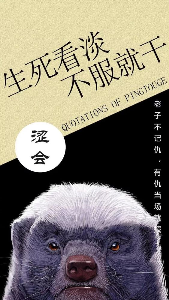 刷爆ins一组超惊艳的高清壁纸绝对让你一眼爱上