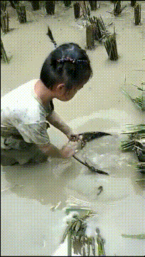 搞笑gif:姑娘,你不觉得这里臭气熏天吗,难道这就是你的灵感