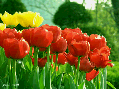 400_300gif 动态图 动图