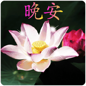 晚安表情包合集