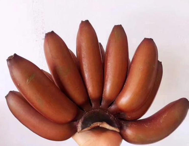 人到中年血管易堵塞,多吃天然食物"清道夫"食物,清理血管更健康!