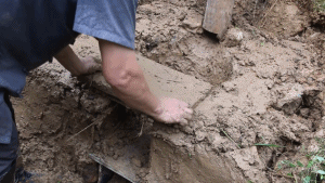 山东|山东有个大爷版李子柒！“玩木头”爆红海外！能造2600年前“鲁班凳”