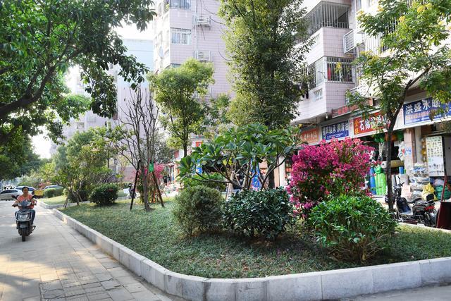 福州今年已完成220处荒废绿地整治提升,并纳入园林养管