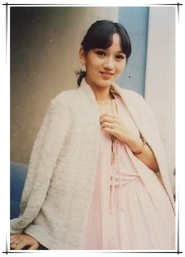 赵雅芝,吴君如,梅艳芳,女黑侠花木兰,黄锦燊,黄伟汉