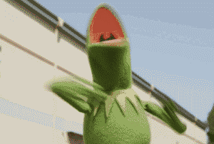 包领域大火,近几年开始被各大潮流品牌相继联名的大名鼎鼎的 kermit