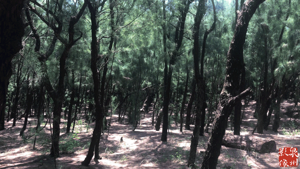 我想去泉州的"最东极",把生活过成诗的模样