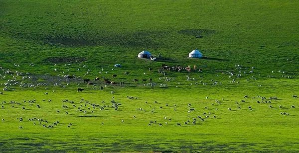 独特的沙地草原景观—阿鲁科尔沁国家级自然保护区