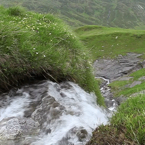 500_500gif 动态图 动图