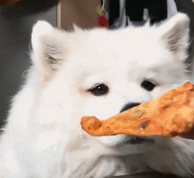 你们真是太坏了