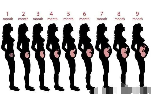 怀孕30周以后体重不涨了,一直到现在34周了,体重没变过,正常吗?