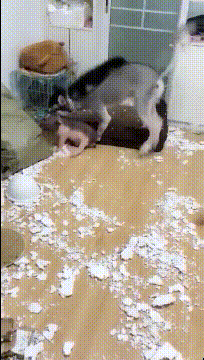 ЦͼƬСӮ 