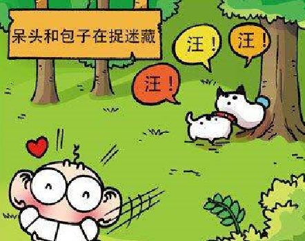 这天呆头和自己的狗狗包子在玩捉迷藏,呆头要去找个地方藏起来,让包子