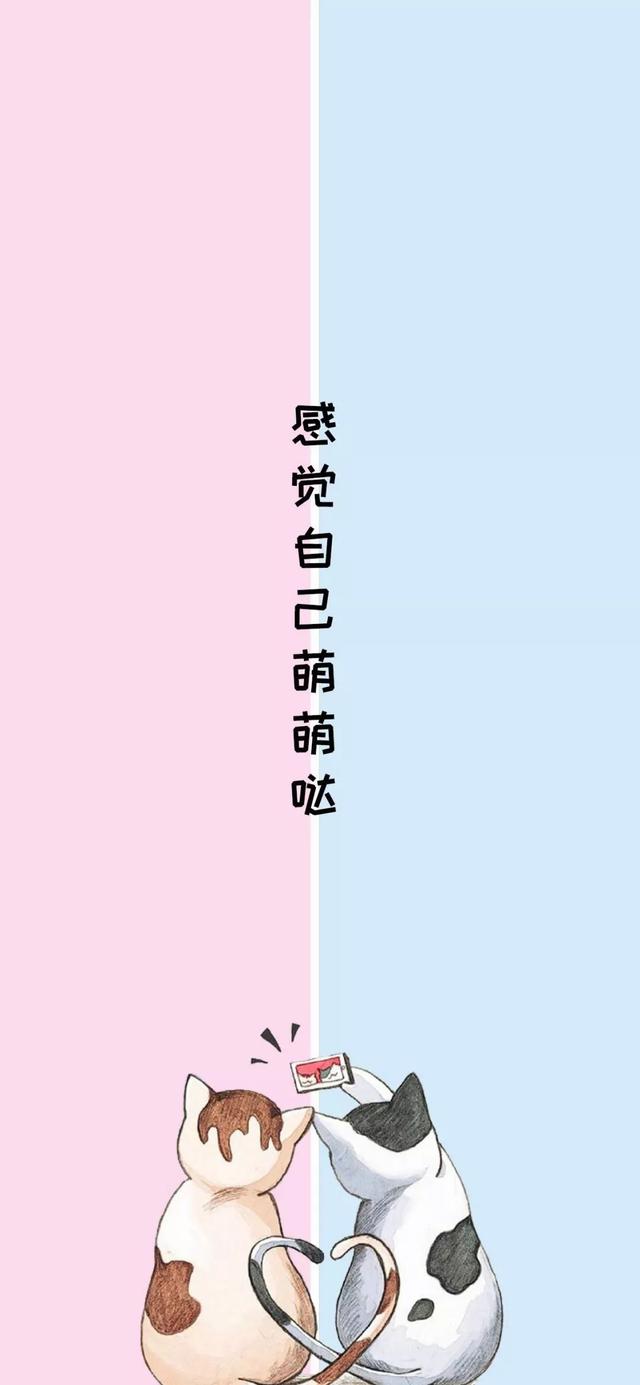 微信动态壁纸引领视觉新潮流