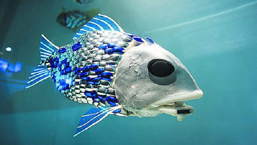 还有的仿生机器人可以模仿一些生物,进行科学研究,比如鱼类仿生机器人