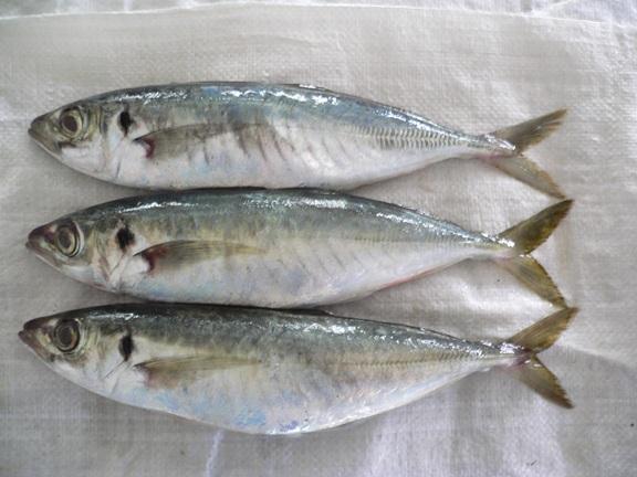 贯穿厦门人民一生的鱼,隔壁小孩都馋哭了