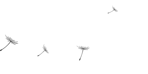 张惠乐|【温州女人·范】张惠乐：文成武阳村最美“村花”走出舒适圈 接受更多挑战