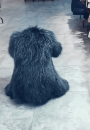 294_424竖版 竖屏gif 动态图 动图