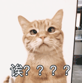 亚洲象|大象吸水时不会被呛到，原来是因为这“神奇开关”……