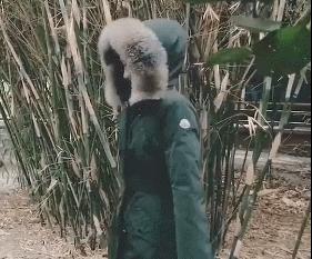 赵丽颖张慧雯斗舞真相是什么?终于真相了,原来是这样!