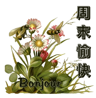 12月12日周日早上好问候语冬季周末早安天冷温馨祝福语好看的图片带字