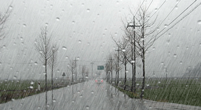 人性|今年，精辟到噎死人的现实社会语录，句句道尽人性