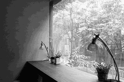 人性|今年，精辟到噎死人的现实社会语录，句句道尽人性