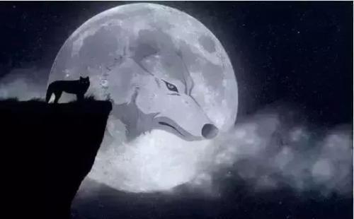 在狼群中,狼王的决断是狼群能否生存和繁衍的关键,狼王一旦做出错误的