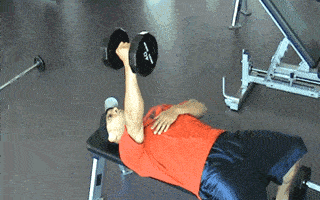 两侧胸肌大小不一是肌力不平衡惹的祸3个动作帮你改善