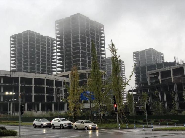 蔡家地标佳程广场进入60天"变卖"期,蔡家居民希望改建为医院