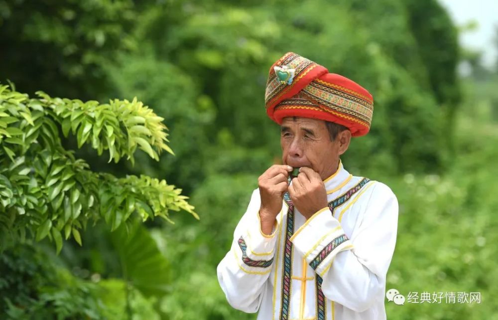 云南山歌—老倌是个夜来香,笑惨了!