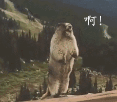 雷雨|雷雨＋高温！上海要开启“蒸桑拿”模式，更让人绝望的是…