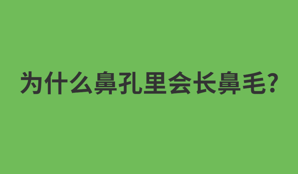 為什麼鼻孔裡會長鼻毛?