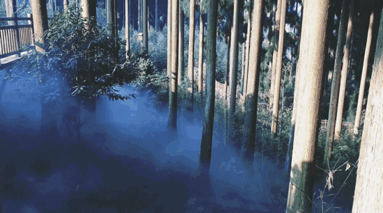 550_306gif 动态图 动图