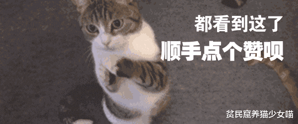 流浪猫上树下不来 坐在树上流鼻涕砸到行人 为啥下树那么难 腾讯新闻