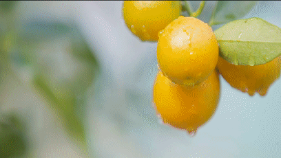 408_230gif 动态图 动图