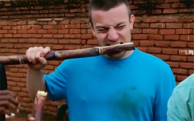 中国人"生啃"甘蔗,外国人街头看愣了:难道有神功护体?