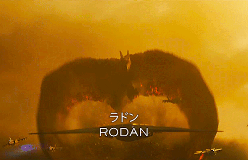 500_324gif 动态图 动图